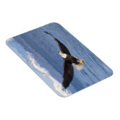 Magnet Flexible aigle à tête blanche, Haliaeetus leucocephalus, en (Côté Droit)