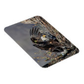 Magnet Flexible Aigle avec son bébé (Côté Droit)