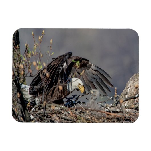 Magnet Flexible Aigle avec son bébé (Horizontal)