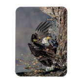 Magnet Flexible Aigle avec son bébé (Vertical)