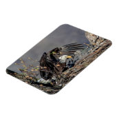 Magnet Flexible Aigle avec son bébé (Côté Gauche)