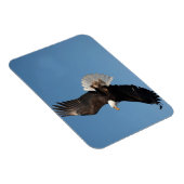 Magnet Flexible Aigle de Bald en vol (Côté Droit)