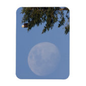 Magnet Flexible Aigle de Bald | Pleine lune montante (Vertical)