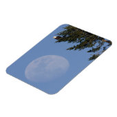 Magnet Flexible Aigle de Bald | Pleine lune montante (Côté Gauche)