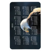 Magnet Flexible Aigle Lone Bald ; Calendrier 2013 (Vertical)