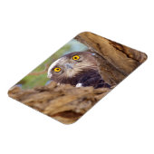 Magnet Flexible Aigle serpentaire à poitrine blanche (Côté Gauche)