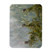 Magnet Flexible Aigles chauds | Tongass National Forest Alaska (Vertical)
