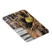 Magnet Flexible Aiguilles et cônes, Plancher forestier, Sequoia NP (Côté Droit)