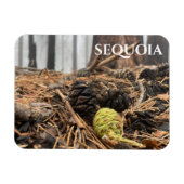 Magnet Flexible Aiguilles et cônes, Plancher forestier, Sequoia NP (Horizontal)