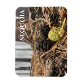 Magnet Flexible Aiguilles et cônes, Plancher forestier, Sequoia NP (Vertical)