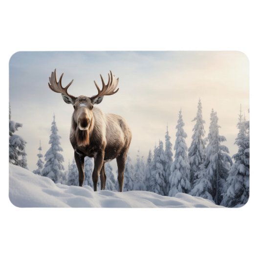 Magnet Flexible Aimant (Horizontal)