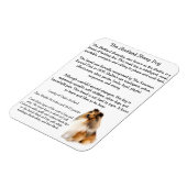 Magnet Flexible Aimant (Côté Gauche)