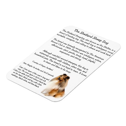 Magnet Flexible Aimant (Côté Gauche)