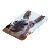 Magnet Flexible Aimant à âne souriant (Côté Gauche)