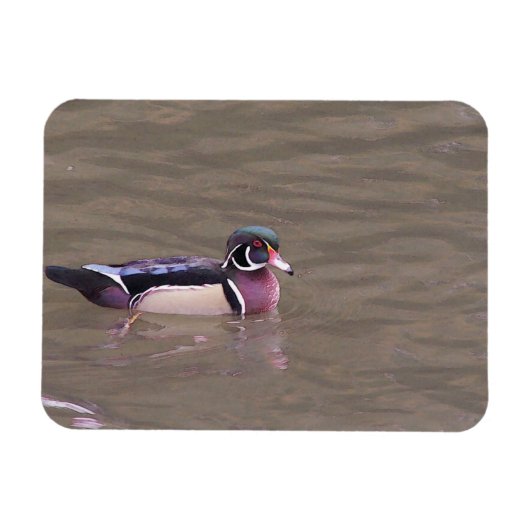 Magnet Flexible Aimant à canard de bois (Horizontal)