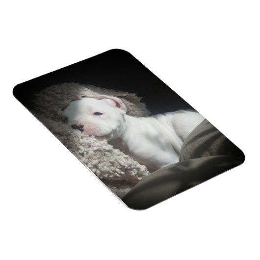 Magnet Flexible aimant à chiot (Côté Droit)