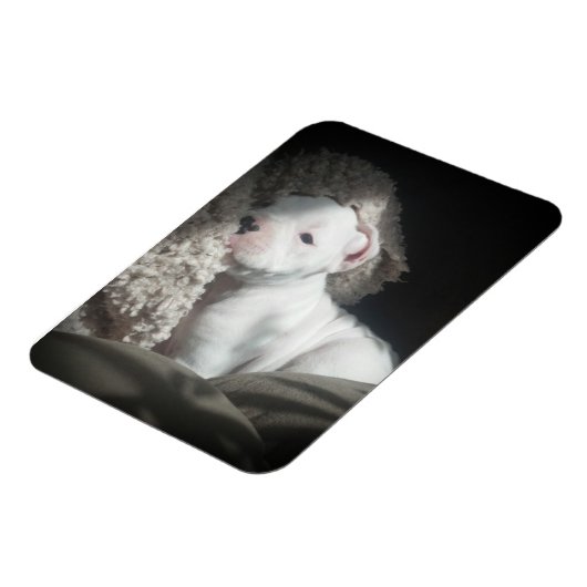 Magnet Flexible aimant à chiot (Côté Gauche)