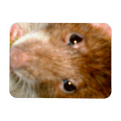 Magnet Flexible Aimant à face de rat (Horizontal)