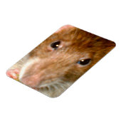 Magnet Flexible Aimant à face de rat (Côté Gauche)