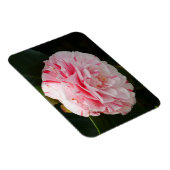 Magnet Flexible Aimant à fleur de Camellia rose et blanc (Côté Droit)