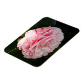 Magnet Flexible Aimant à fleur de Camellia rose et blanc (Côté Gauche)