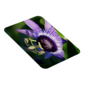 Magnet Flexible Aimant à fleur de passion de lavande (Côté Droit)