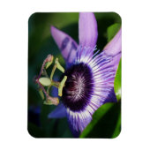 Magnet Flexible Aimant à fleur de passion de lavande (Vertical)