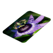 Magnet Flexible Aimant à fleur de passion de lavande (Côté Gauche)