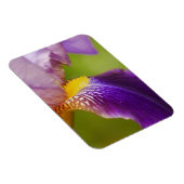 Magnet Flexible Aimant à fleur Iris (Côté Droit)
