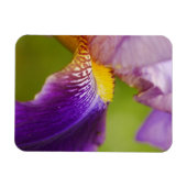Magnet Flexible Aimant à fleur Iris (Horizontal)