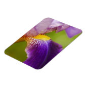 Magnet Flexible Aimant à fleur Iris (Côté Gauche)
