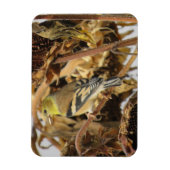 Magnet Flexible Aimant à graines de Goldfinch et de tournesol (Vertical)