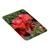 Magnet Flexible Aimant à imprimer des roses roses (Côté Droit)
