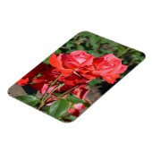 Magnet Flexible Aimant à imprimer des roses roses (Côté Gauche)