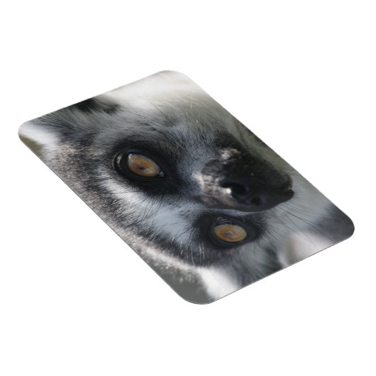 Magnet Flexible Aimant à lémur en sonnerie (Côté Droit)