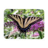 Magnet Flexible Aimant à papillon Swallowtail (Horizontal)