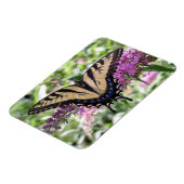 Magnet Flexible Aimant à papillon Swallowtail (Côté Gauche)