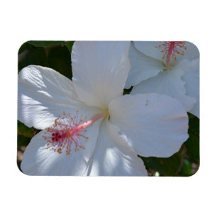 Magnet Flexible Aimant à parfum floral