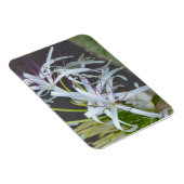 Magnet Flexible Aimant à parfum floral (Côté Droit)