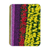 Magnet Flexible Aimant à ressort coloré pour tulipes (Vertical)