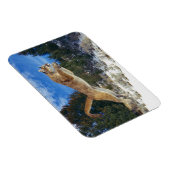 Magnet Flexible Aimant à sucre (Côté Droit)