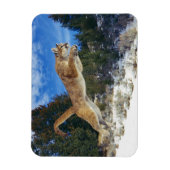 Magnet Flexible Aimant à sucre (Vertical)