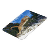 Magnet Flexible Aimant à sucre (Côté Gauche)