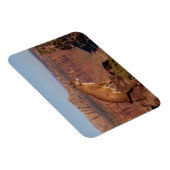 Magnet Flexible Aimant à sucre (Côté Droit)