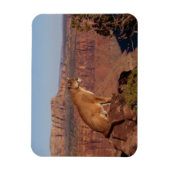 Magnet Flexible Aimant à sucre (Vertical)