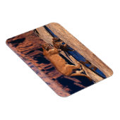 Magnet Flexible Aimant à sucre (Côté Droit)