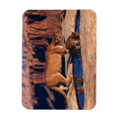 Magnet Flexible Aimant à sucre (Vertical)