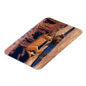 Magnet Flexible Aimant à sucre (Côté Gauche)