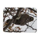 Magnet Flexible Aimant arrière (Horizontal)