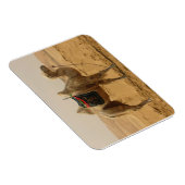 Magnet Flexible Aimant au Camel du désert (Côté Droit)